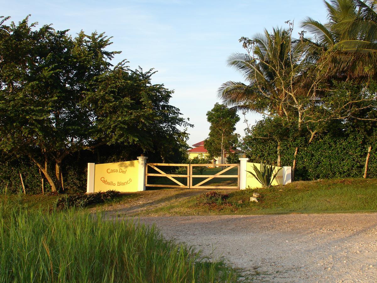 Casa Del Caballo Blanco San Ignacio Exteriör bild