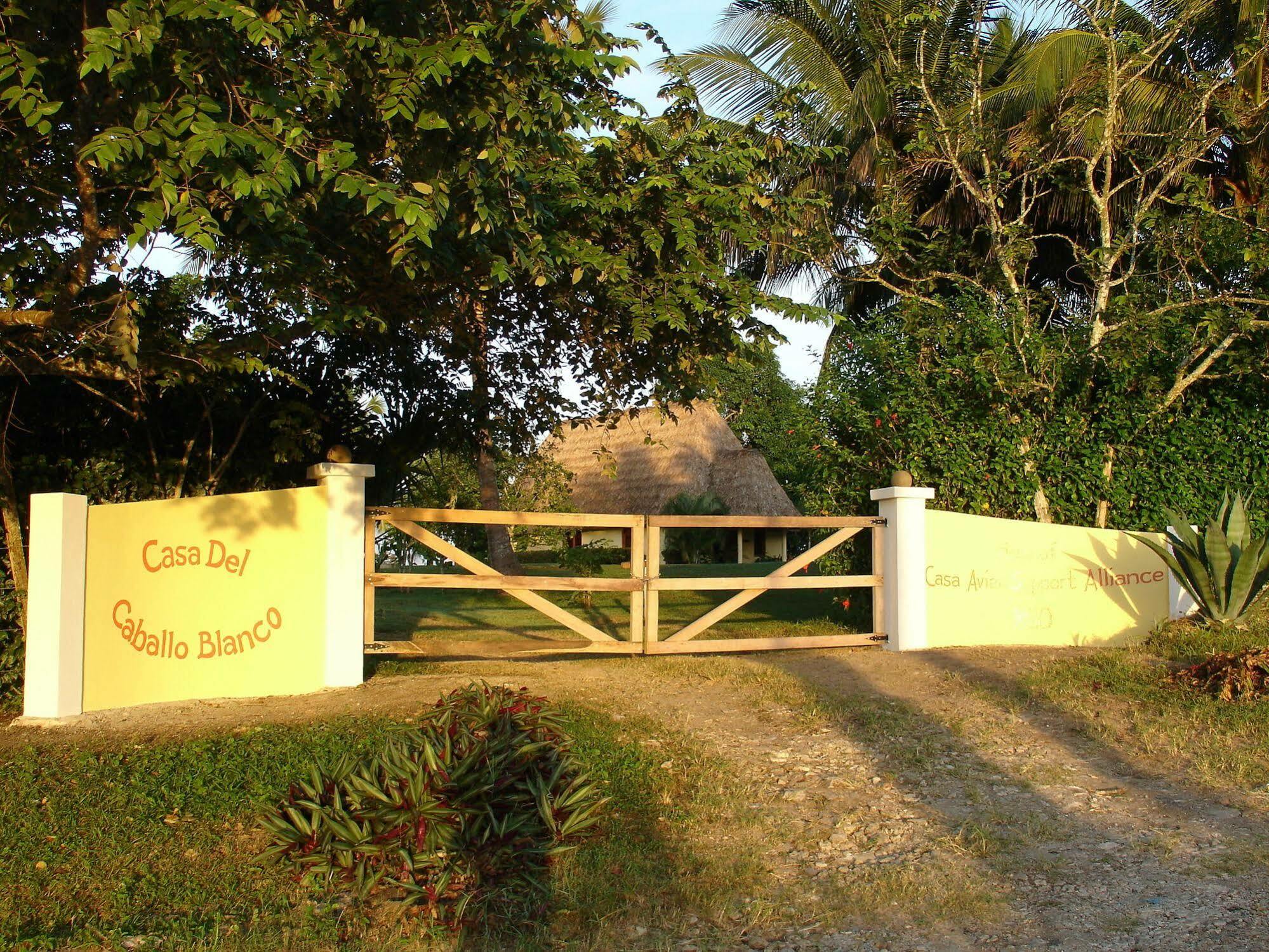 Casa Del Caballo Blanco San Ignacio Exteriör bild